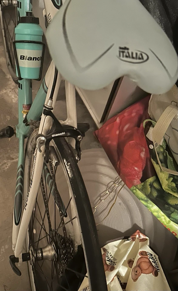Bianchi Via Nirone 7, foto 4 di 4