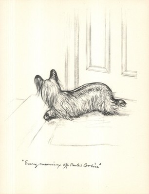 Antique Skye Terrier Print 1936 Vernon Stokes Dog Art Illustration 6710h