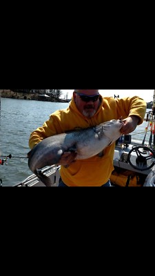 bass pro shops maxx pack backpack tackle bag VEXAN Fishing Box w/Removable LED Light Blue & Black size-exc72mb-72-medium ready durability into one Shimano Stella SW Spin Reference 3wt 370 FastGlass Fly Rod (Rod color):Olive