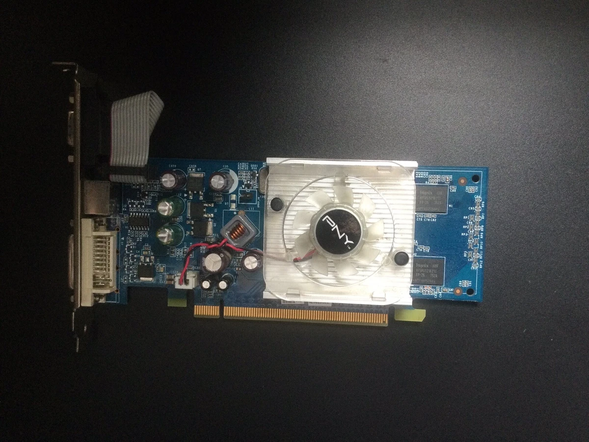 Carte Vidéo Geforce PointOfView POV GF8400GS 256MB DDR2 VGA / CRT / DVI