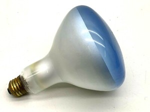 grow light regular bulb