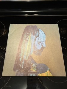 The Caretaker Vinyl | eBay