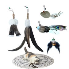 Cat Feather Toy for Cat Wand 5-Pack Assorted Teaser Refills, Interactive Cat ...