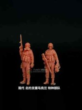 3D Printed 1/72 NATO Support to Ukrainian Special Forces 2-Man Team Model NEW