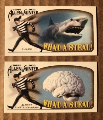 2022 Allen Ginter What A Steal Mini Shark WAS-7 & Albert Einstein s Brain WAS-3