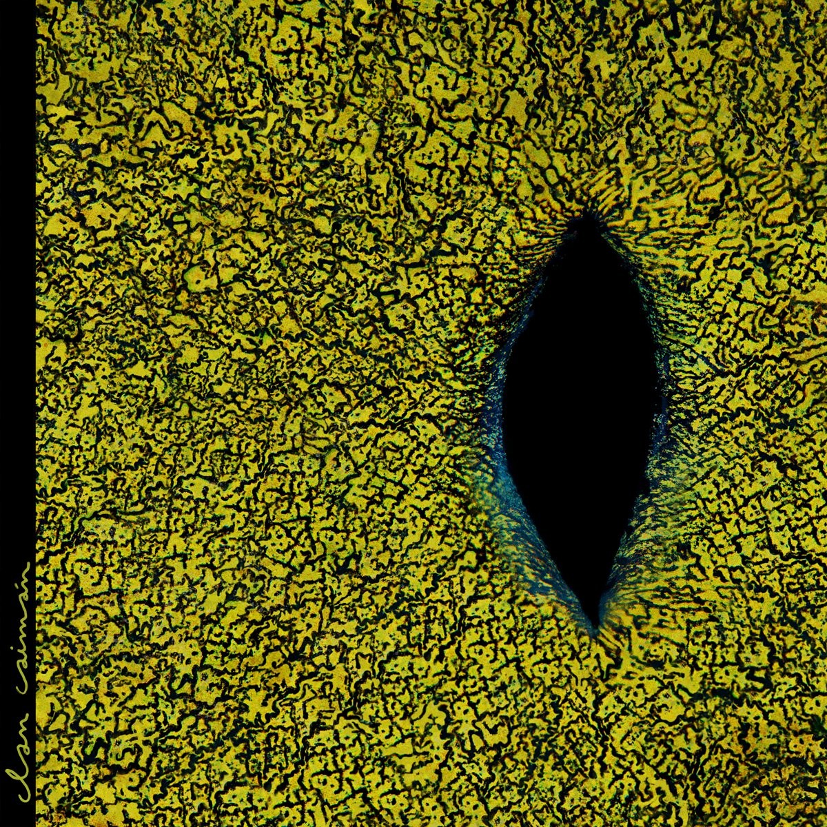 Clan Caiman Clan Caiman (Vinyl LP)