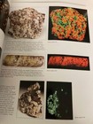 Collecting Fluorescent Minerals — photo 9