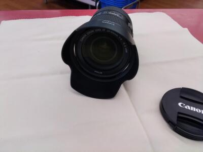 Canon Ef24-105Mmf4L Isii Usm Large Aperture Zoom Lens | eBay