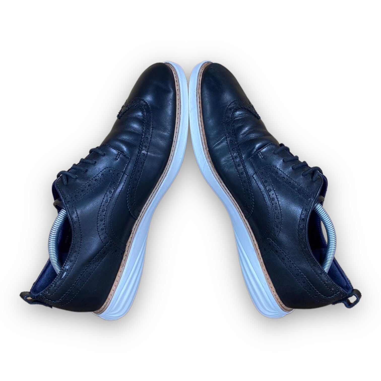 grand evolution shortwing