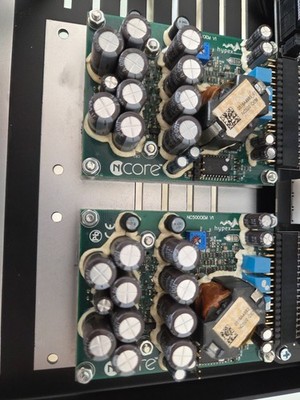 Hypex two NC500 OEM modules (used)