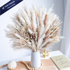 96PCS Natural Dried Pampas Grass Boho Home Decor 96 Pcs, Natural,white,beige