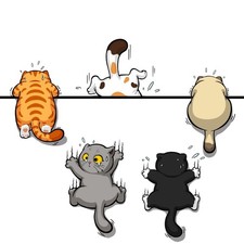 5Pcs Scratch Cat Vinyl Car Stickers, Multi-Color Cats Scratch Cover Funny Bum...
