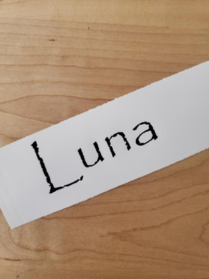 Luna pet name Sticker Vinyl Decals 8'' (2) PAIR black Dog Cat Pet Puppy FAST