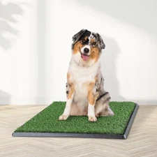 20"x25" Artificial Grass Puppy Pee Pad Dogs 4-Layer Training Potty Pad with Tray