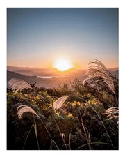 Serene Sunset Landscape Wall Art Poster for Home Decor Premium Quality