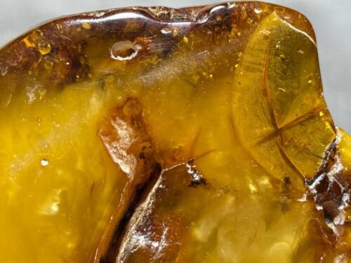 Natural amber, unprocessed, Baltic amber, large piece 895 grams. - Picture 18 of 24