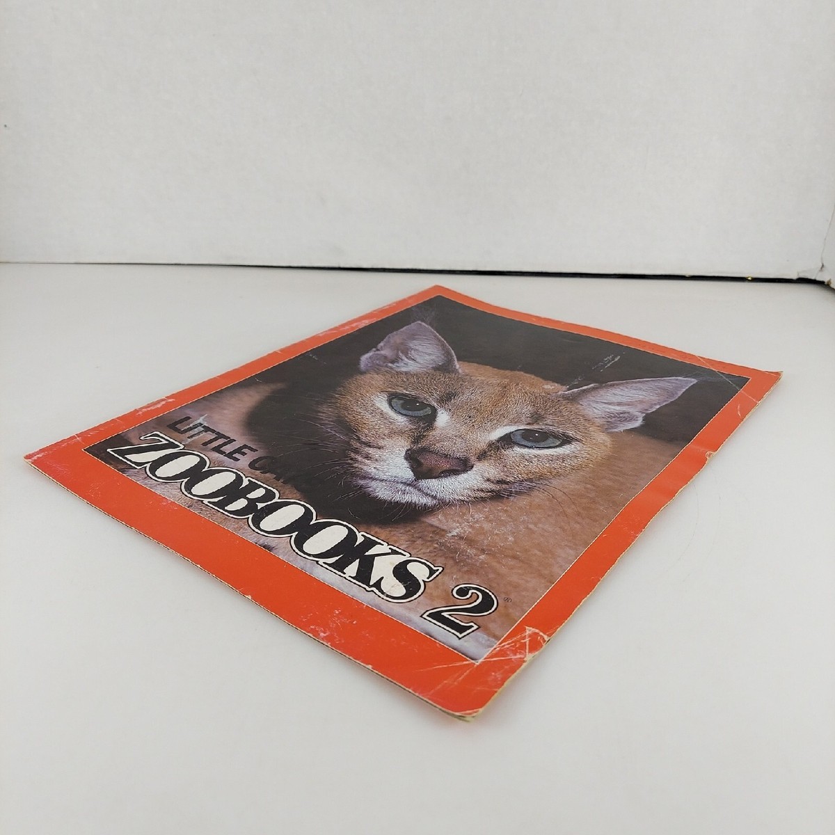 Zoobooks 2 Magazine April 1986 Vol 2 No 7 Little Cats | eBay