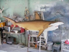 Hammerhead Shark Replica 72 Inch Whole Mount Call 352-457-9030