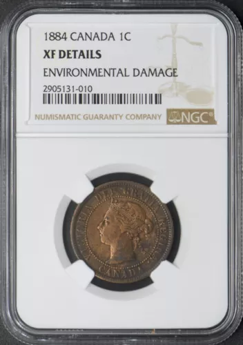 1884 Canada 1C Large Cent - NGC XF Details ENV DMG - ✪COINGIANTS✪