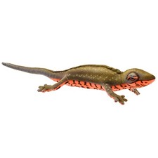 BH8141 HANSA Newt 23