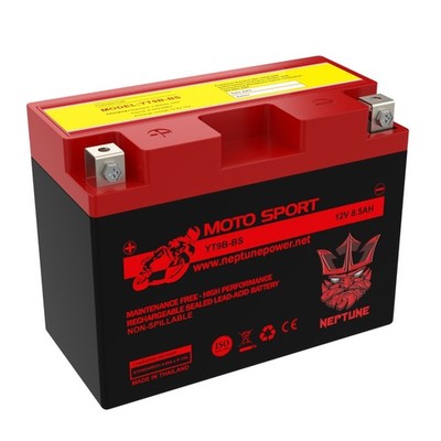 Neptune Power YT9B-BS  Replacement Battery for Yamaha YFM700R Raptor YZF-R6