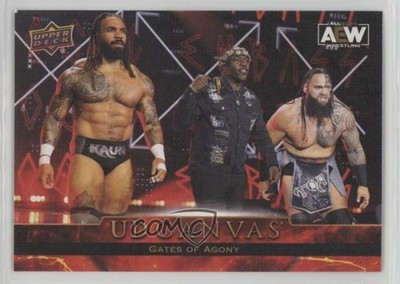 2024 Upper Deck AEW All Elite Wrestling UD Canvas Gates of Agony #C56 02l5