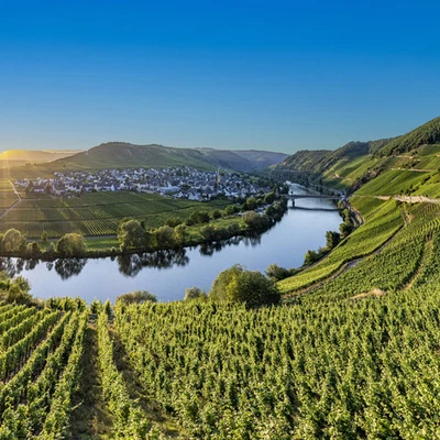 4* Eurostrand Resort Moseltal Hotelgutschein 3 Tage 2 Personen Kurzurlaub Leiwen - Bild 1 von 4