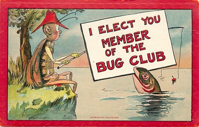 Embossed Postcard Anthropomorphic May Beetle June Bug Goes Fishing Bug Club