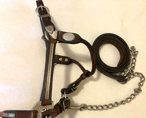 Circle Y Silver Horse Show Halter- Small 