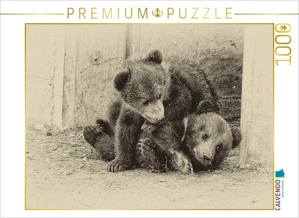 Calvendo Puzzle Gemeinsam Spielen | 1000 Teile Lege-GrößE 64 × 48 Cm Foto-Puzzle-image