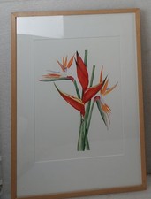 ORIGINAL PAINTING BIRD OF PARADISE FLOWER ARTIST VICKI UNDERLAND ROSOW