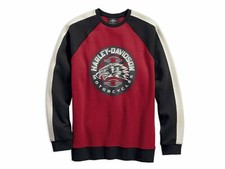 Harley-Davidson Men's Eagle Profile Pullover Fleece - 96595-19VM