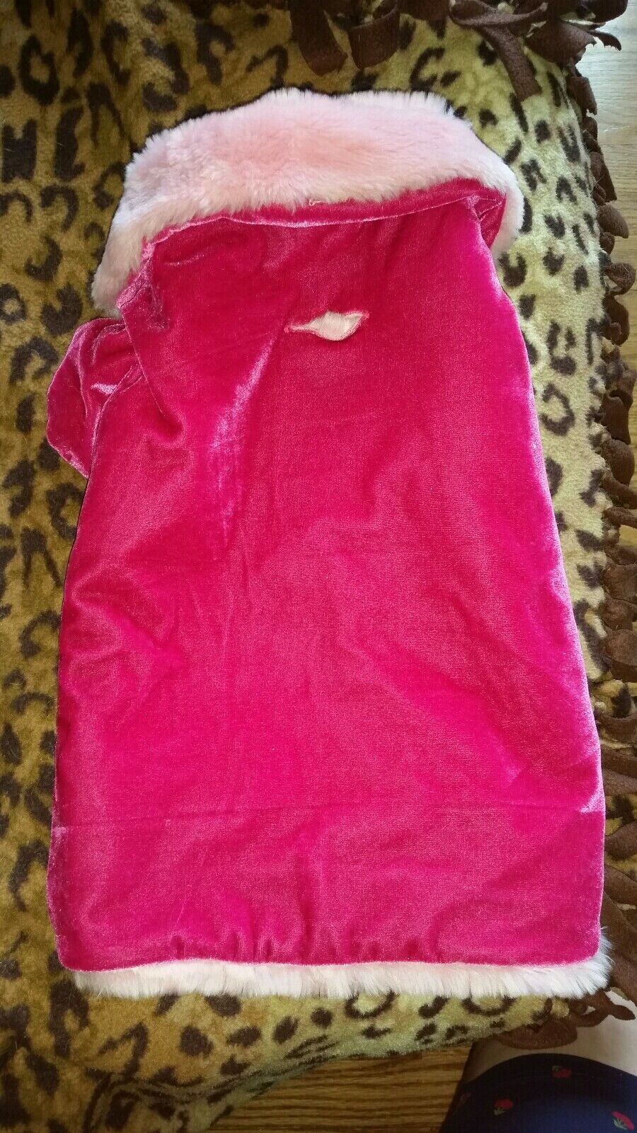 Picture 4 of 6