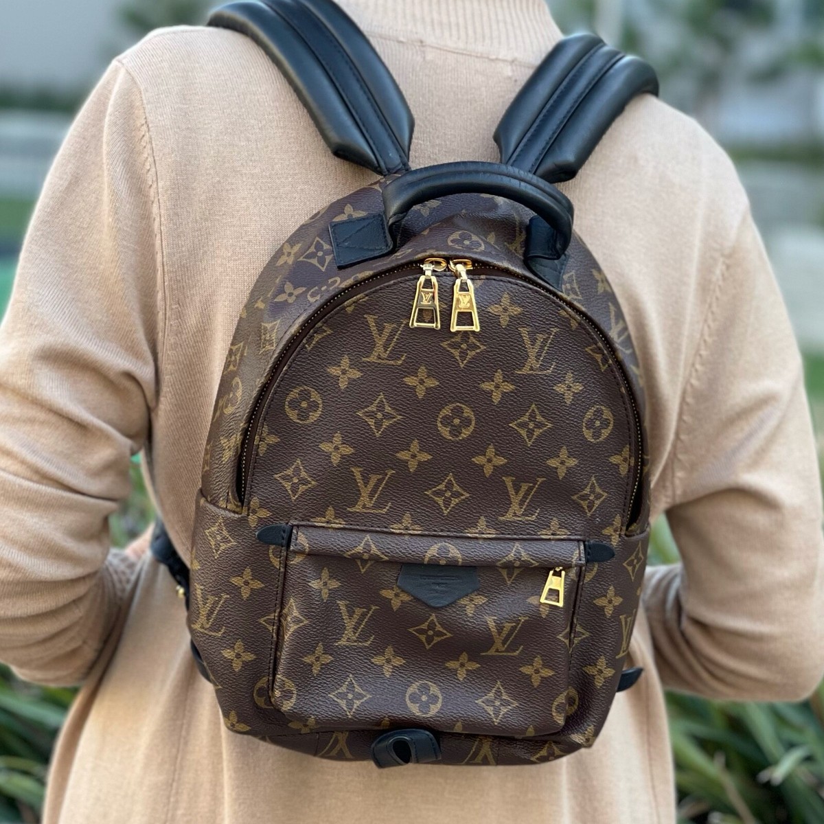 Brown Louis Vuitton Wild Animal Palm Springs PM Backpack – Designer Revival