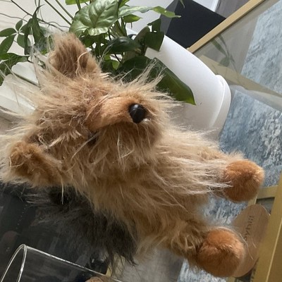 Douglas Plush Stuffed Dog, Brenton Yorkie. Retired.