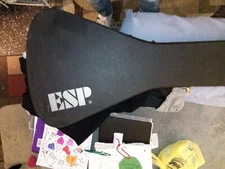 ESP LTD K 250 V Electric Guitar