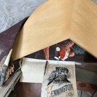 Foto 6 di 10