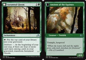 Autumnal Gloom // Ancient of the Equinox x4 - Shadows Over Innistrad - NM-Mint,