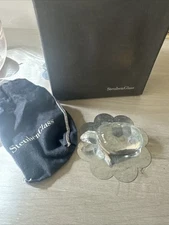 SteubenGlass Turtle