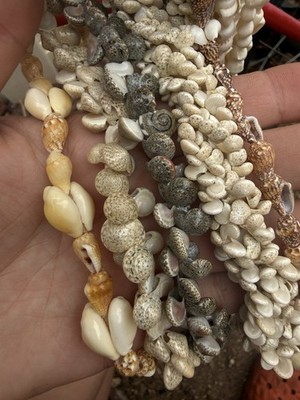 Handpicked and Handmade Hawai i Shell Lei Necklaces Collection