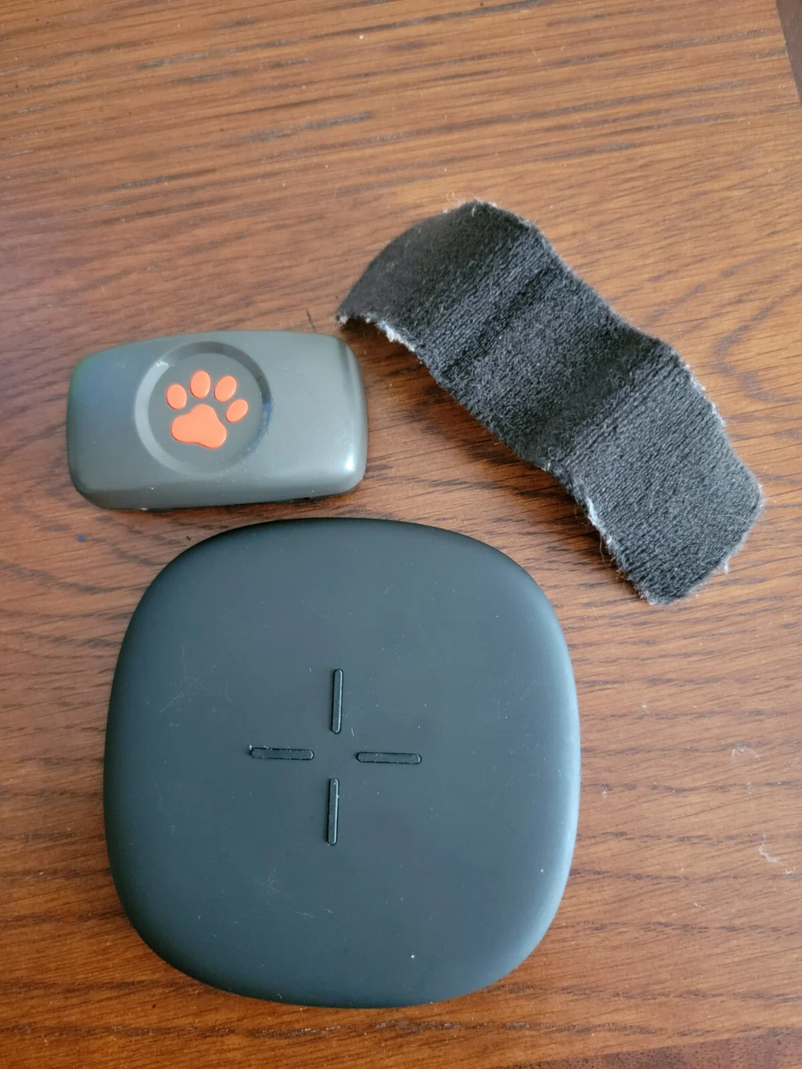 Pitpat dog cheap tracker