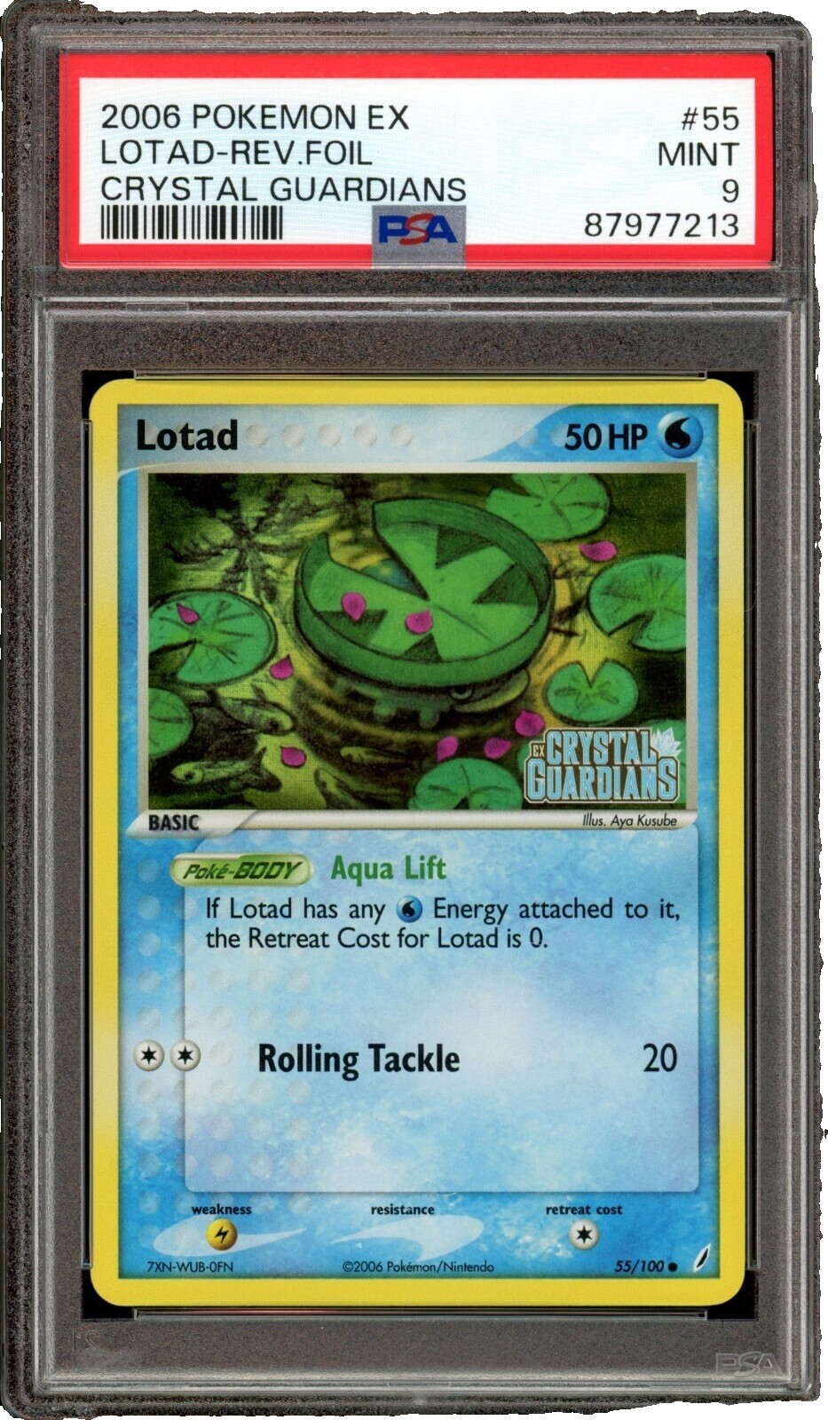 Lotad Pokemon Card | eBay