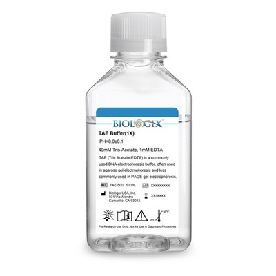Biologix  TAE Buffer ( 1× ), Tris Acetate-EDTA Buffer, pH8.0, 500mL/Bottle