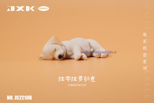JXK kleine süße Welpe Serie Modell Golden Retriever Huskie Labrador Tier 3 Ver. - Bild 19 von 32