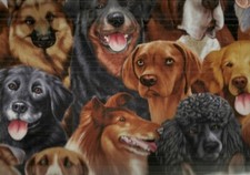 Dogs breeds faces packed Timeless Treasures fabric