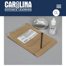CAROLINA Exploring Physical Chemical Changes Kit HOMESCHOOL science Experiment