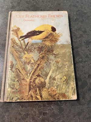 Our Feathered Friends 1898, Grinnell Orinthology Antique Birds