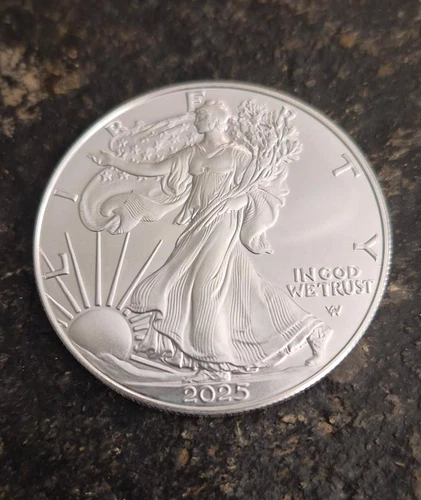 2025 American Silver Eagle 1 Troy Oz .999 Fine Silver