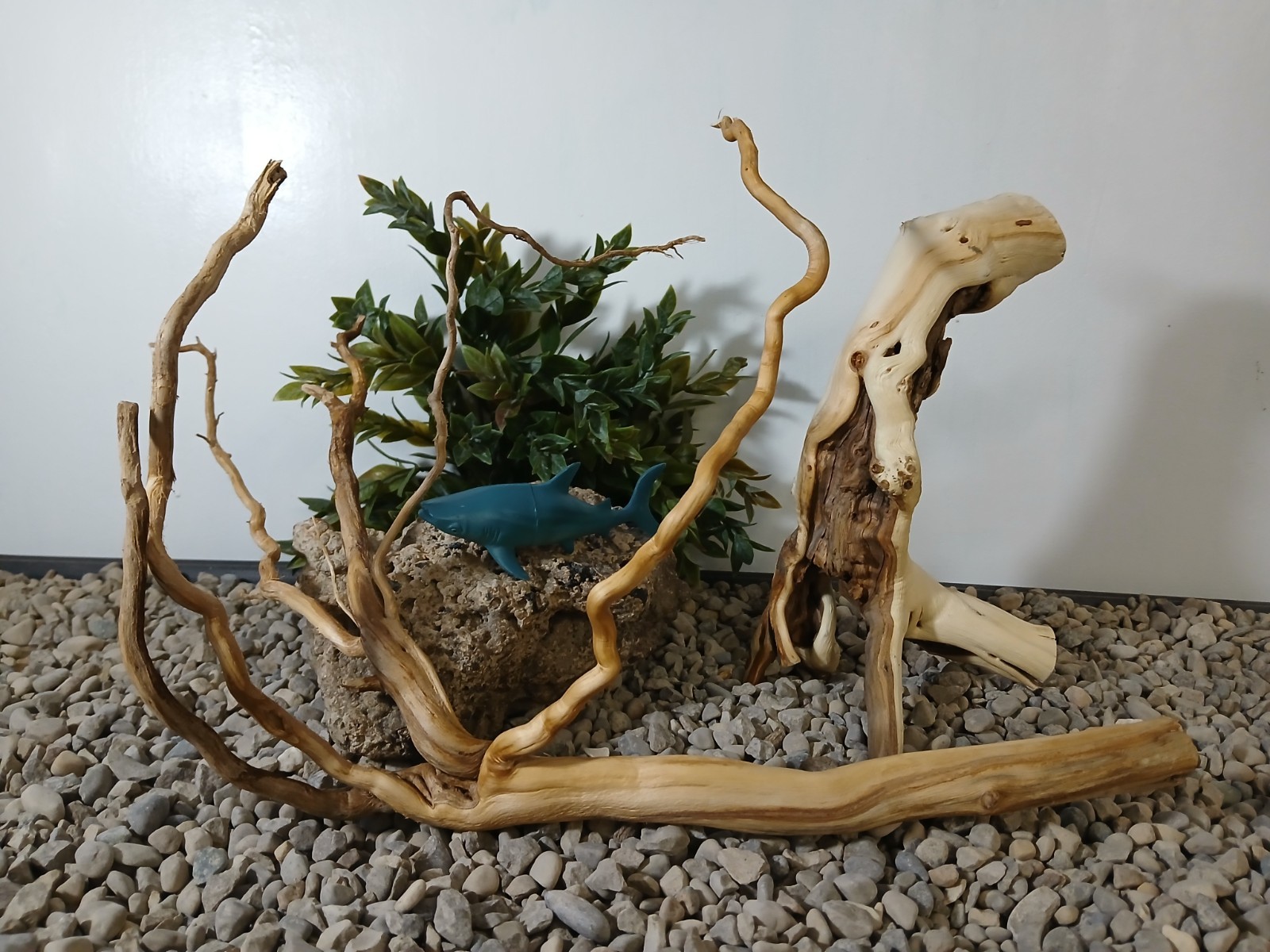 Foto 1 di 10