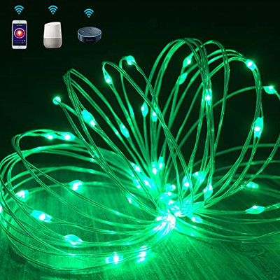 string lights that work with alexa